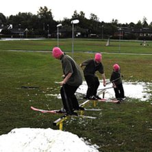 tricken sitter i m&ouml;ssan. Foto: ae. &Aring;kare: Staffan Zackrisson.