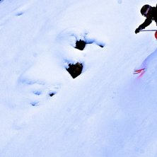 @Dannjell. &Aring;kare: Danniel Bolander.