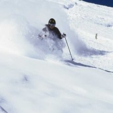 L&auml;gger n&aring;gra sv&auml;ngar i pudret vid Furgsattel. S. Foto: Andrew Lerner. &Aring;kare: Arvid Hejll.
