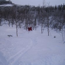 Foto: Oscar. &Aring;kare: Gustav Johansson.