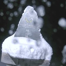 Jolafta
Hipp hurra det er komme nesten 30 cm herle.