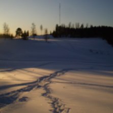 soft. Foto: andreas nordin.