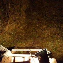 Mellan 2,5 till 3 meter h&ouml;gt ganska ok.. Foto: Broberg.