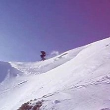 Foto: Johanna Persson. &Aring;kare: Emil Saghamre.