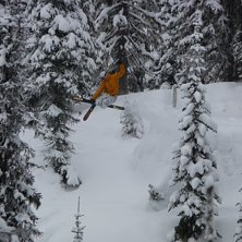 Erik l&auml;gger upp en sk&ouml;n mute bland tr&auml;den.. Foto: Rickard Ljunggren. &Aring;kare: Erik H&aring;rsmar.