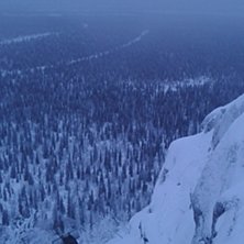 Det g&aring;r ocks&aring; att kl&auml;ttra upp i r&auml;nnan nedifr�. Foto: tryggve tiren.