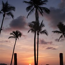 Fan vad man l&auml;ngtar tillbaka.... Foto: Victor Lindgren (mig sj&auml;lv).