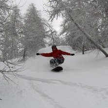 Sk&ouml;n sn&ouml; mellan tr&auml;den. Foto: Sebbe. &Aring;kare: Jag.
