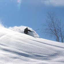 Denna magiska dag utforskades Japanska skogen i Va. Foto: Lintan Hougland. &Aring;kare: Peter Sub&aacute;n.