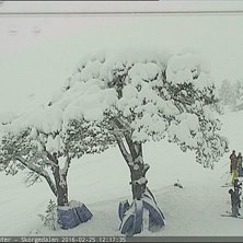 Og det b&oslash;tter ned med sn&oslash;..
Det har falt godt ov.