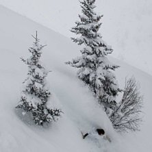 BOOM!. Foto: krille. &Aring;kare: Alexander Palm.