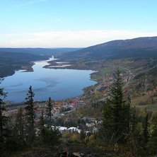 Foto: Malin Sj&ouml;din.