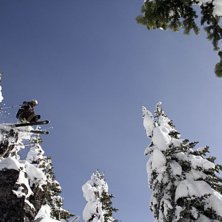 Foto: Henik Karlsson. &Aring;kare: Dan Leonn.