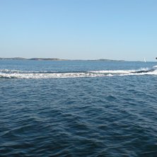 Foto: Hannes Andr&eacute;n. &Aring;kare: David &Aring;kerfeldt.