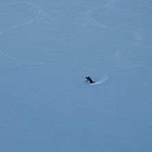 Sk&ouml;n surf ner till schweiz. Foto: Lars Wallentin. &Aring;kare: Anders Uhlin.