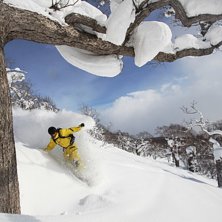 Foto: David G&auml;rdshagen. &Aring;kare: Rasmus Nilsson.