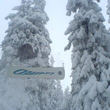 fs 360. Foto: kommer inte ih&aring;g. &Aring;kare: joel lindblom.