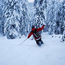 puder p&aring; ostsidan. Foto: M&aring;ns Gullgren. &Aring;kare: Magnus Lindholm.