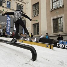 Winter Show i Kungstr&auml;dg&aring;rden 2014.. Foto: Hedda Berander.