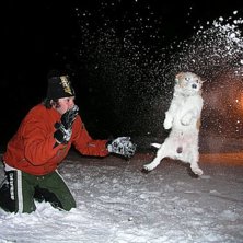 Foto: Perka K&auml;llstr&ouml;m.