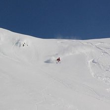 s&aring;ja... Foto: David Lagerblad. &Aring;kare: Niklas Carelius.