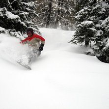 Skog&aring;kning p&aring; baksidan av Zell am See. Foto: Jakob Wijkstr&ouml;m. &Aring;kare: Emil Wargelius.