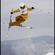 Foto: Andreas Timf&auml;lt / SwedenProPhoto.