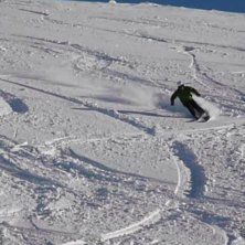 Svensk fluff. Foto: Linda Ifwer. &Aring;kare: Patrik Hjelm.