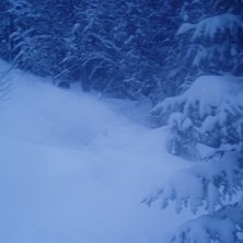 Inge vidare bra, men f&aring;r vara kvar f&ouml;r att den. Foto: Petter Larsson. &Aring;kare: Gustav Holmer.