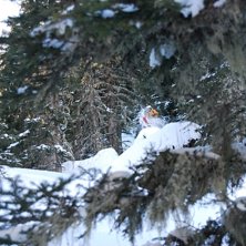 Foto: Erik Lidas Lidstr&ouml;m. &Aring;kare: Magnus Bellini.