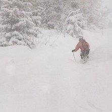 Tagen med diafilm och fotograferad genom dian med . Foto: Anders Merenius. &Aring;kare: Monica Eriksson.