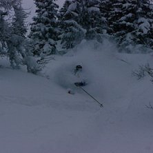 D&aring; var jag lycklig, nu blir jag bara galen p&aring; v�. Foto: Gustav Ryd&eacute;n.
