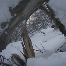 Om jag bara v&auml;ntat n&aring;gra hundradelar till innan . Foto: Alexander Frank. &Aring;kare: Jakob Karlsten.