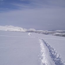 Robert f&ouml;rs&ouml;ker sm&auml;lta in.. Foto: Daniel Albing. &Aring;kare: Robert Berggren.