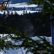 Odlarn Langar upp en fet supermanfront i br&auml;cke. Foto: Thom &Ouml;hlin. &Aring;kare: Markus Odlander.