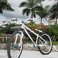 Foto: karl sandrock. &Aring;kare: Cartagen, colombia.