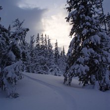 Bild fr&aring;n ett sjukt fint &aring;k, ouppt&auml;ckt och bara. Foto: Julia Sundstr&ouml;m.