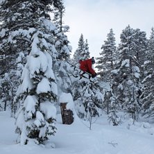Foto: Johan Johansson. &Aring;kare: Mattias &Aring;berg.