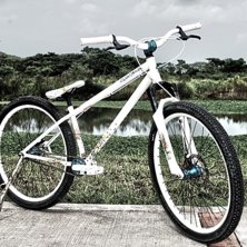 Foto: karl sandrock. &Aring;kare: Cartagen, colombia.