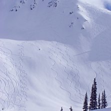 Efter att vi sj&auml;lva tagit n&aring;gra riktigt sk&ouml;&ouml;&ouml;. Foto: Mikael Thorn. &Aring;kare: Ok&auml;nd.