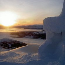 &aring;reskutan. Foto: Hannes Andersson.