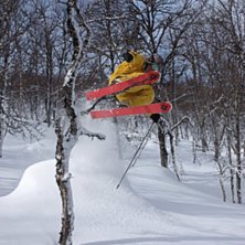 david upp i ett tr&auml;d :P. Foto: Ebba Kling-Odencrants. &Aring;kare: David Odencrants.