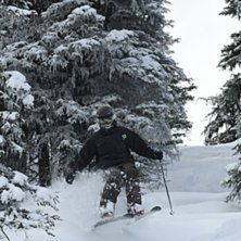 Foto: John Dougall. &Aring;kare: Jonas.