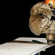 Foto: oakley kids team. &Aring;kare: alla.