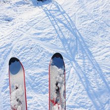 Foto: Stefan Millg&aring;rd. &Aring;kare: Stefan Millg&aring;rd.