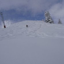 Puder i Rodeon!. Foto: Jon J&ouml;nsson. &Aring;kare: Christian Skoog.
