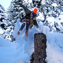 Mr Ced handplantar en stubbe i rendlskogen.. Foto: Eric Westling. &Aring;kare: Robin Cedvin.