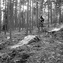 Hemmasnickeri i dalaskogen. Foto: Ludvig Kl&auml;rcke. &Aring;kare: Fredrik Westman.