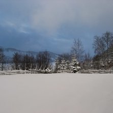 Foto: Johnny Nilsson.