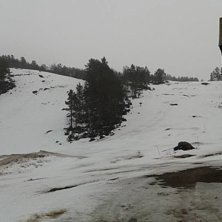 Skitrekket er stengt i p&aring;ska
Sn&oslash;en har forsvunne.